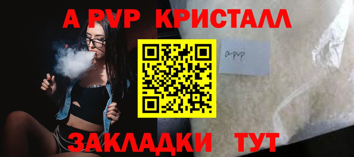 A PVP СК Сокол