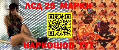 стафф Нальчик