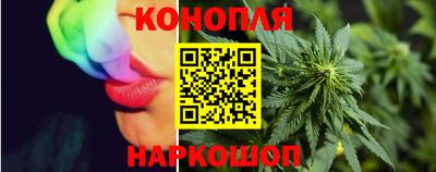 стафф Нальчик
