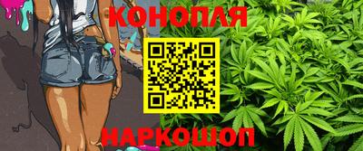 стафф Нальчик