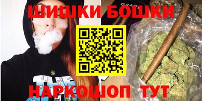стафф Нальчик