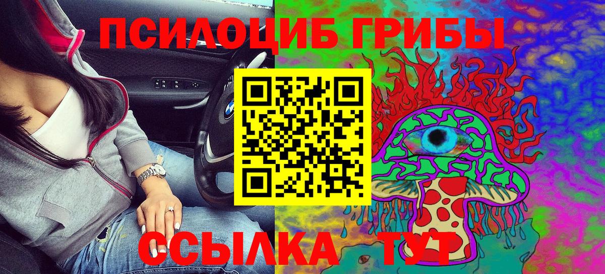 Сокол  Галлюциногенные грибы GOLDEN TEACHER  Вход с VPN 